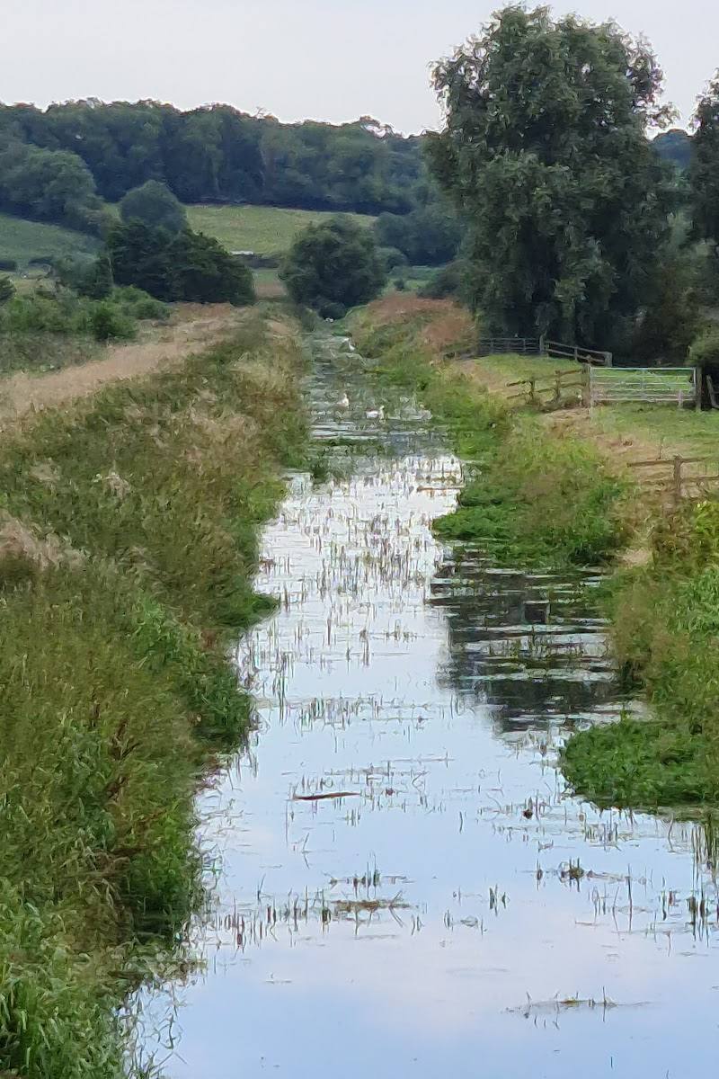 RSPB Ham Wall
