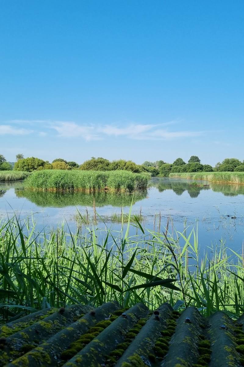 RSPB Ham Wall