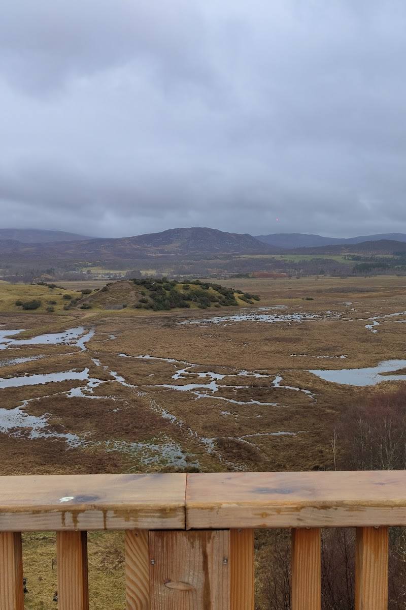 RSPB Insh Marshes — Place photograph (3 of 3)