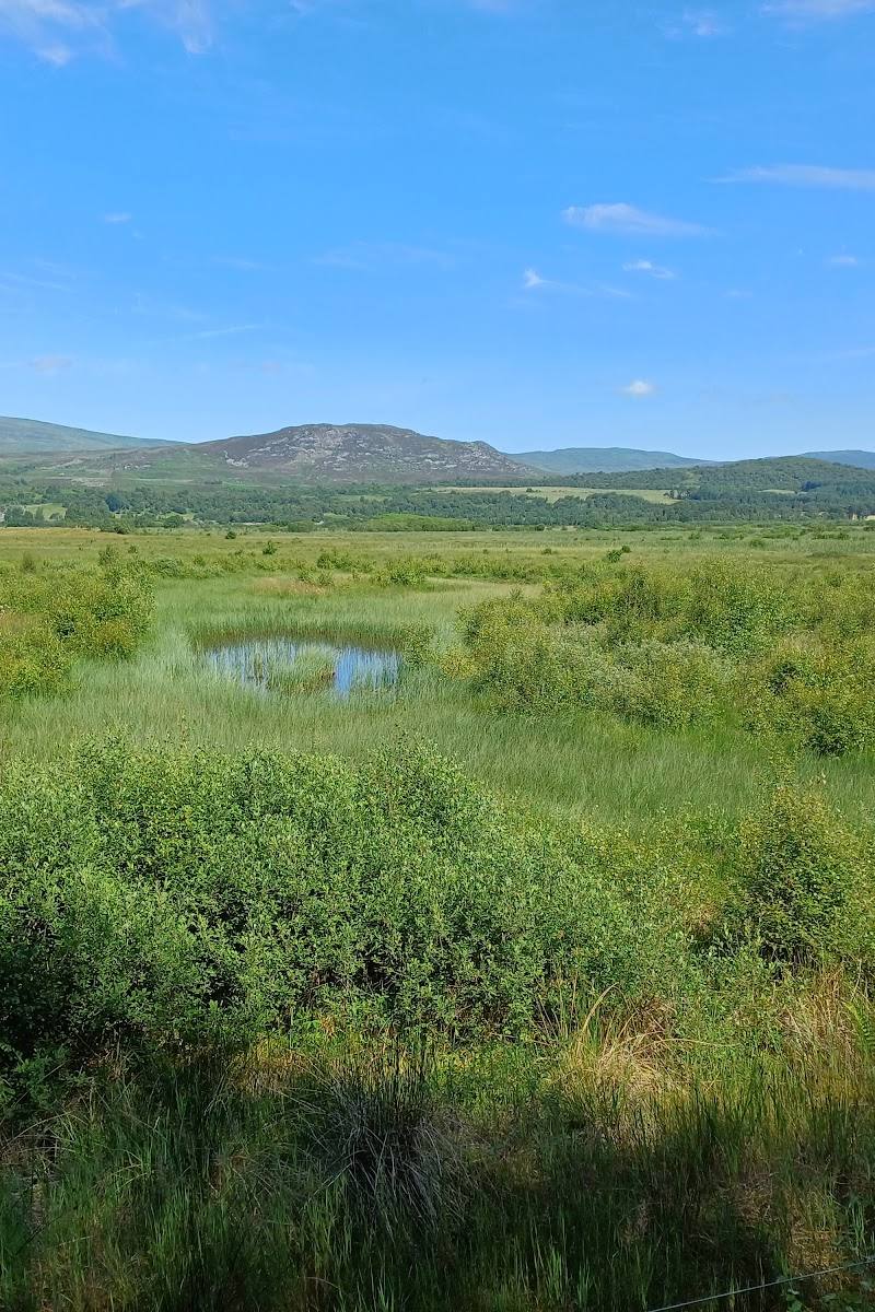 RSPB Insh Marshes — Place photograph (2 of 3)