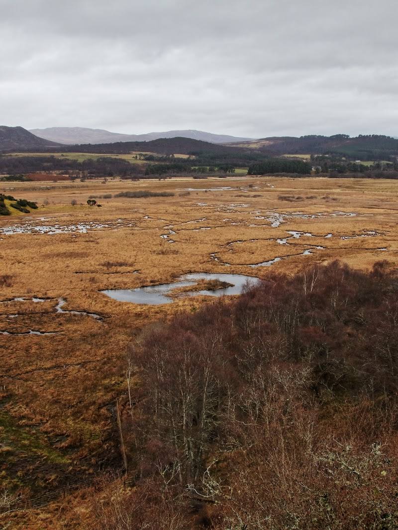 RSPB Insh Marshes — Place photograph (1 of 3)