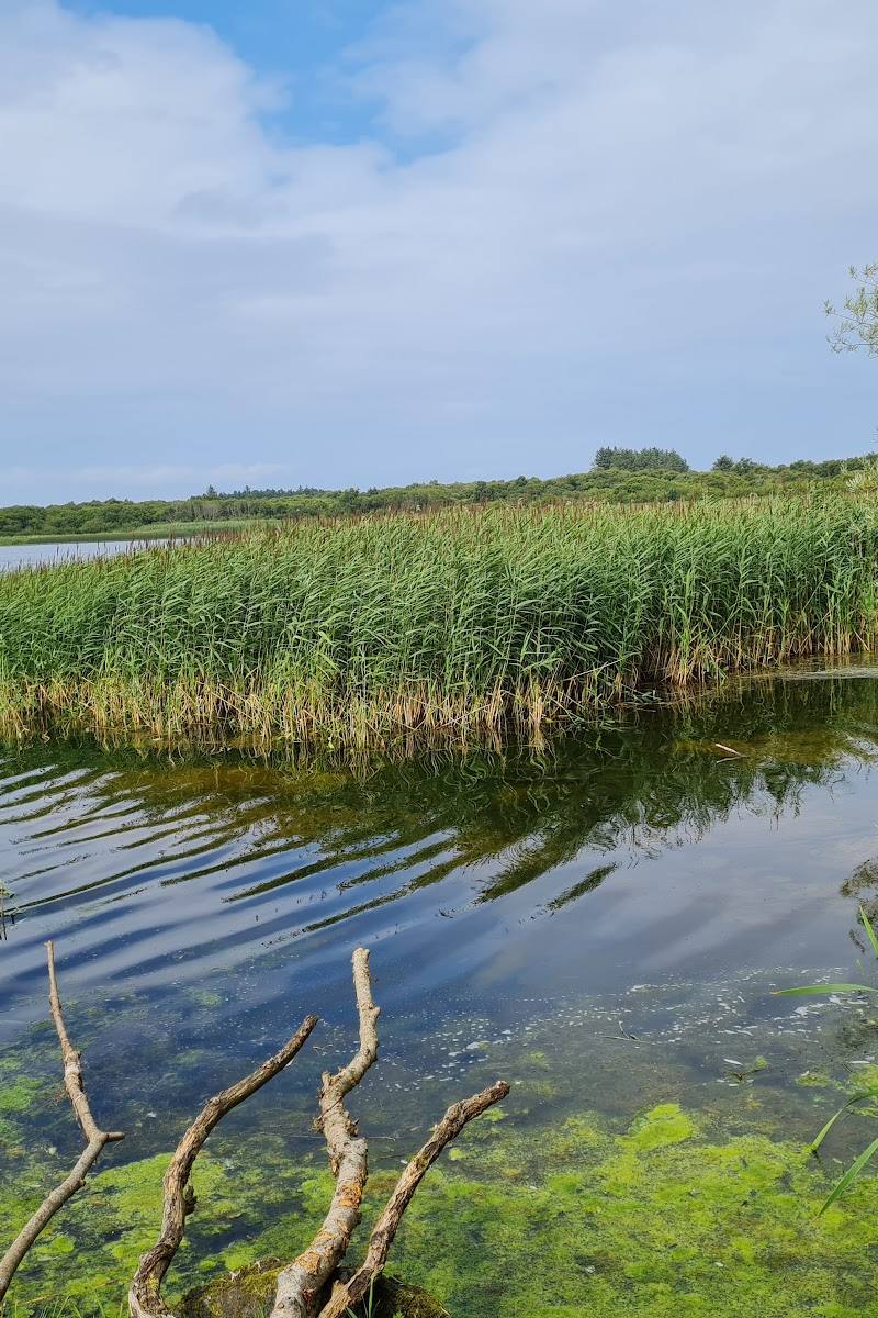RSPB Loch Spynie — Place photograph