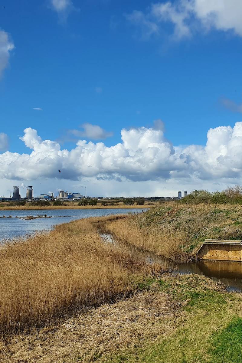 RSPB Saltholme