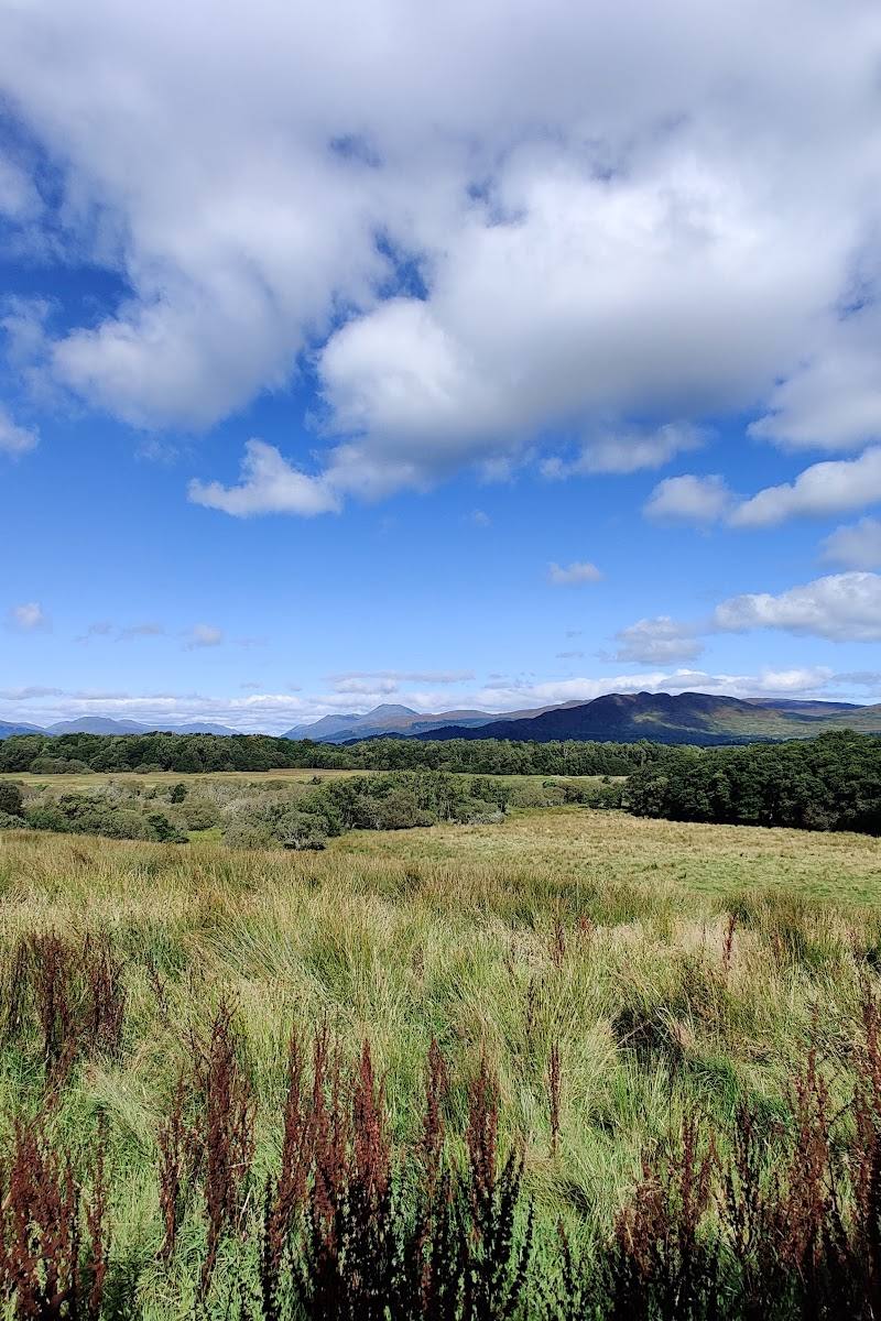 RSPB Scotland Loch Lomond