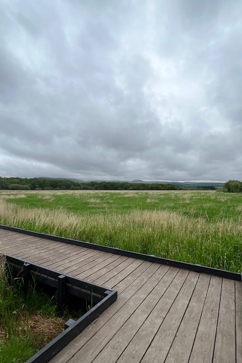 RSPB Scotland Loch Lomond — Place photograph
