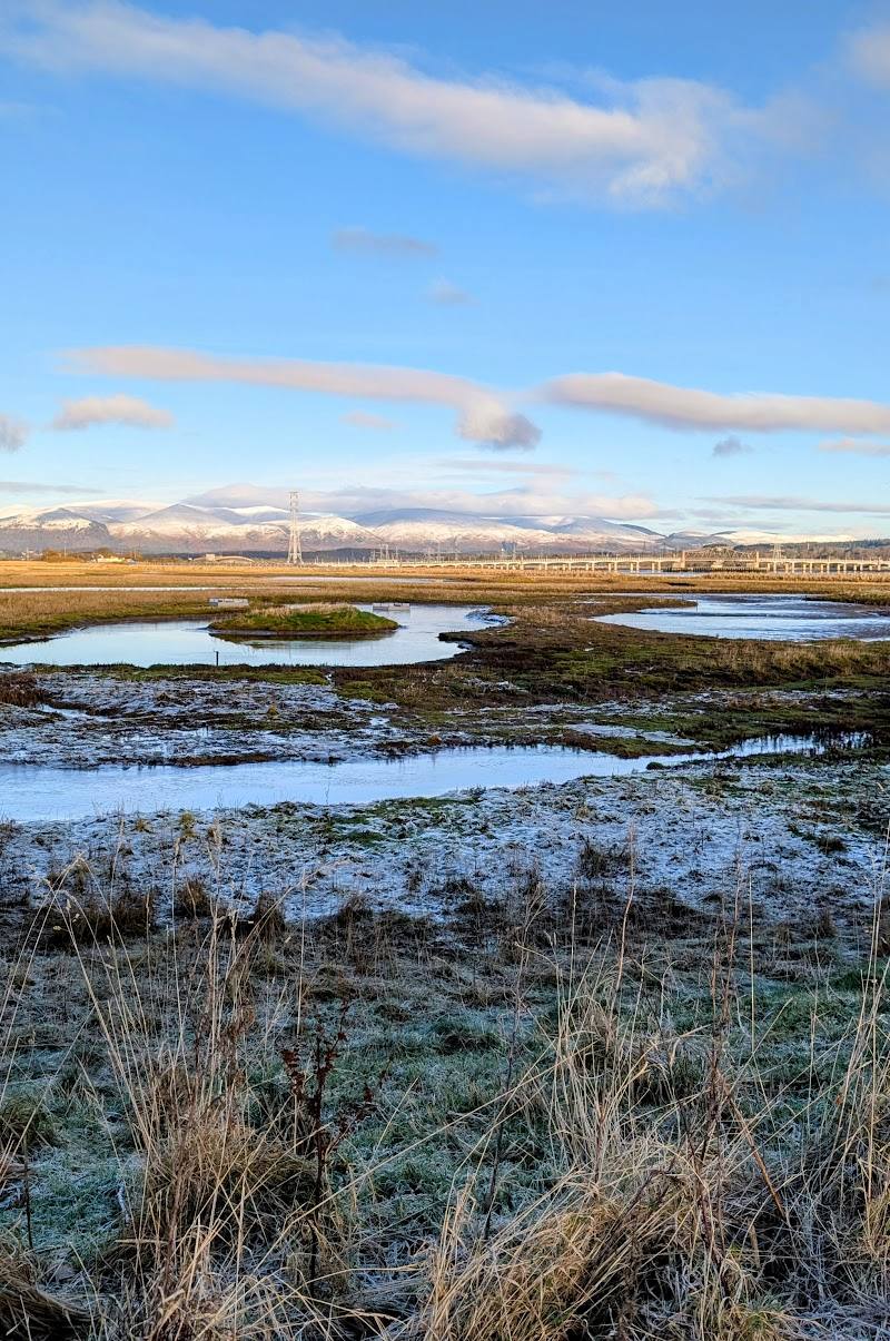RSPB Skinflats — Place photograph