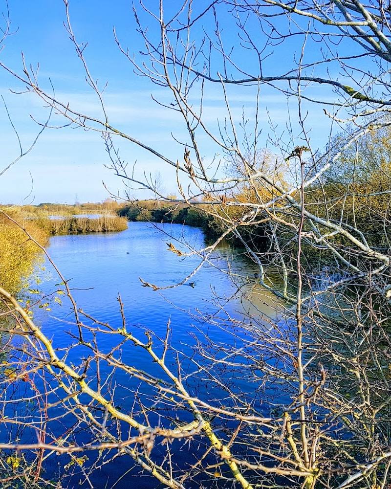 RSPB Snettisham — Source image