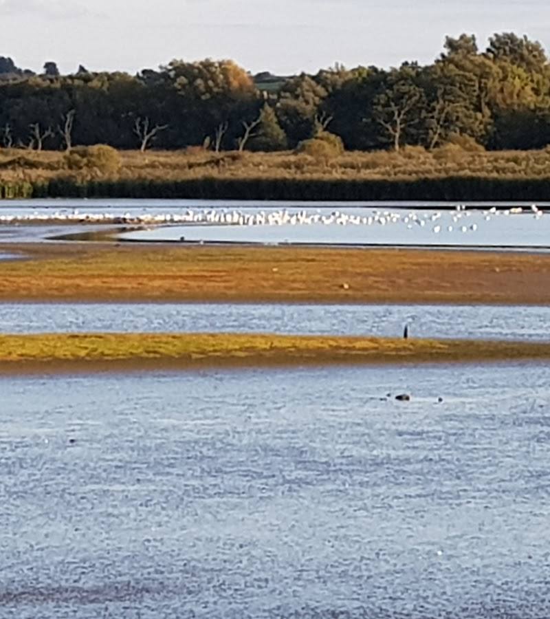 RSPB Titchwell Marsh