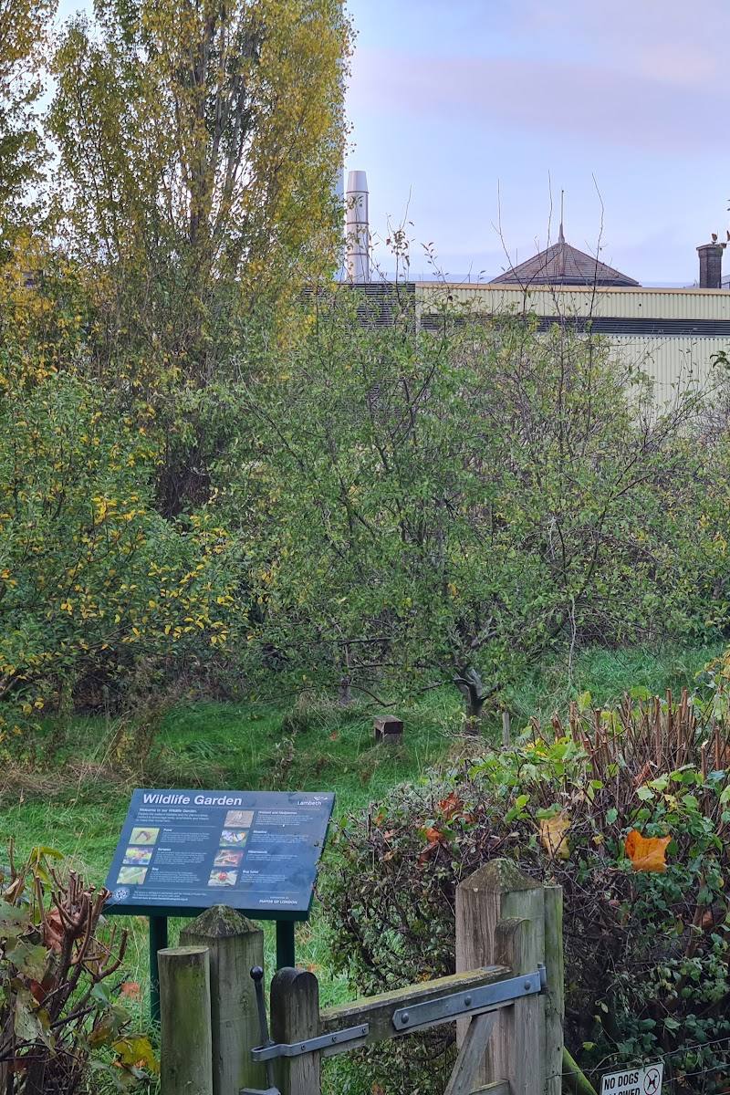 Ruskin Park Wildlife Garden and Pond — Place photograph (3 of 3)