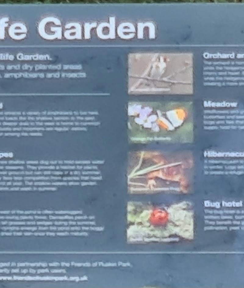 Ruskin Park Wildlife Garden and Pond — Place photograph (2 of 3)