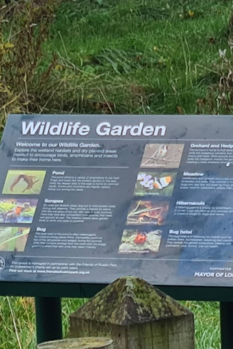 Ruskin Park Wildlife Garden and Pond — Place photograph