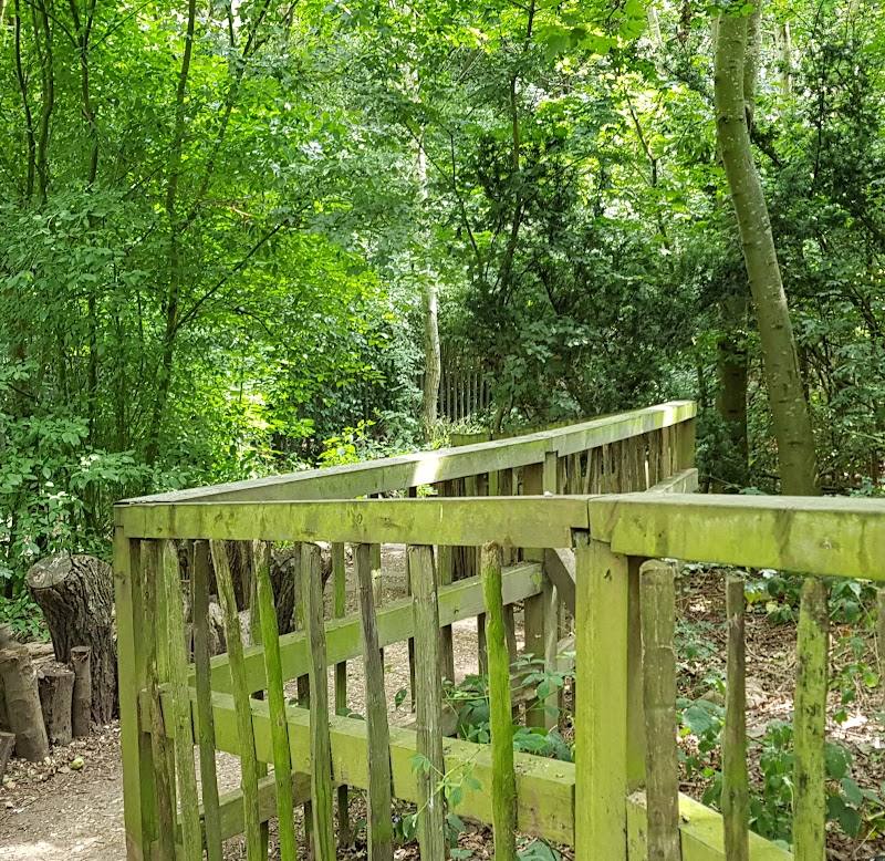 Russia Dock Woodland — Source image