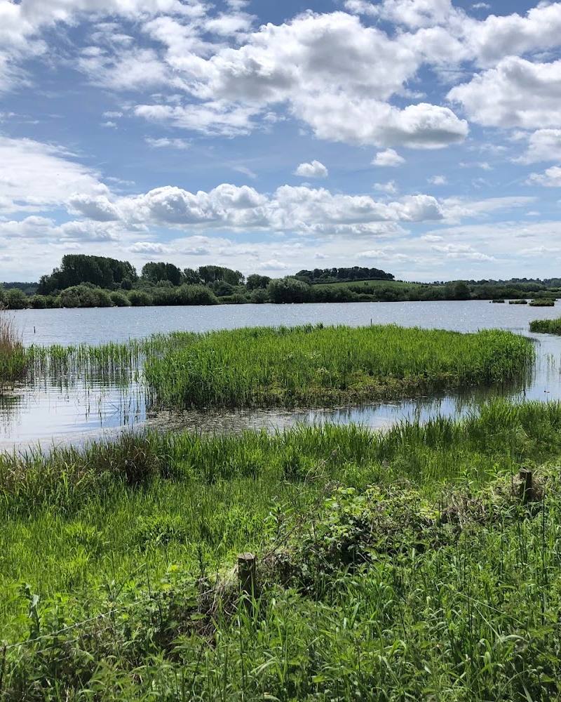 Rutland Water Nature Reserve — Source image