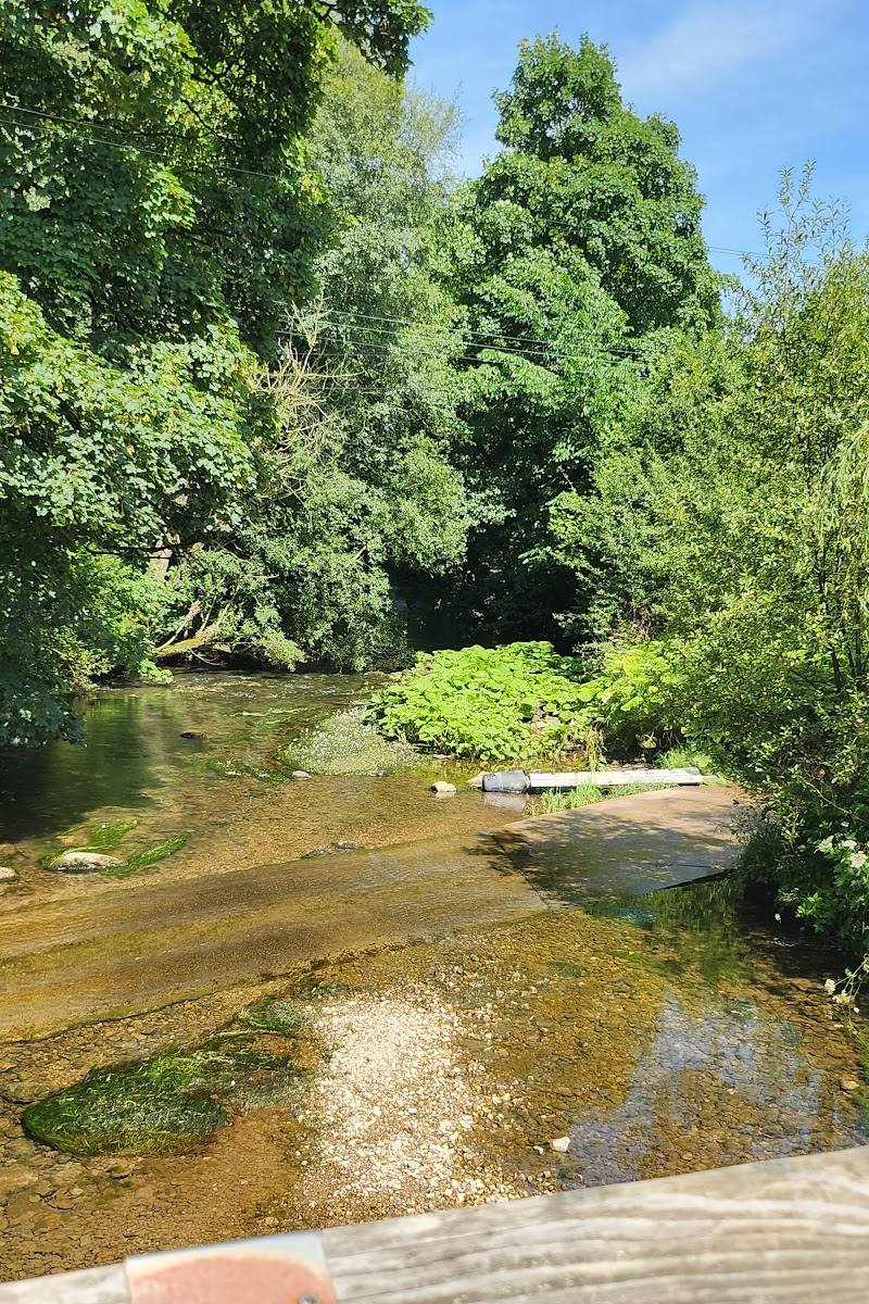 Rutter Force