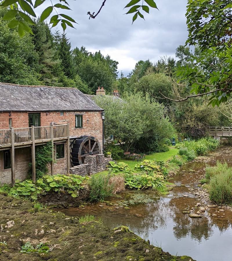 Rutter Force