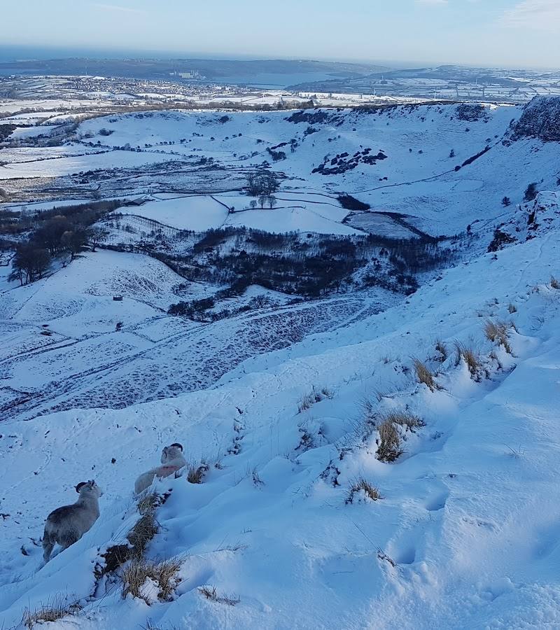 Sallagh Braes Circular Walk — Place photograph (1 of 3)