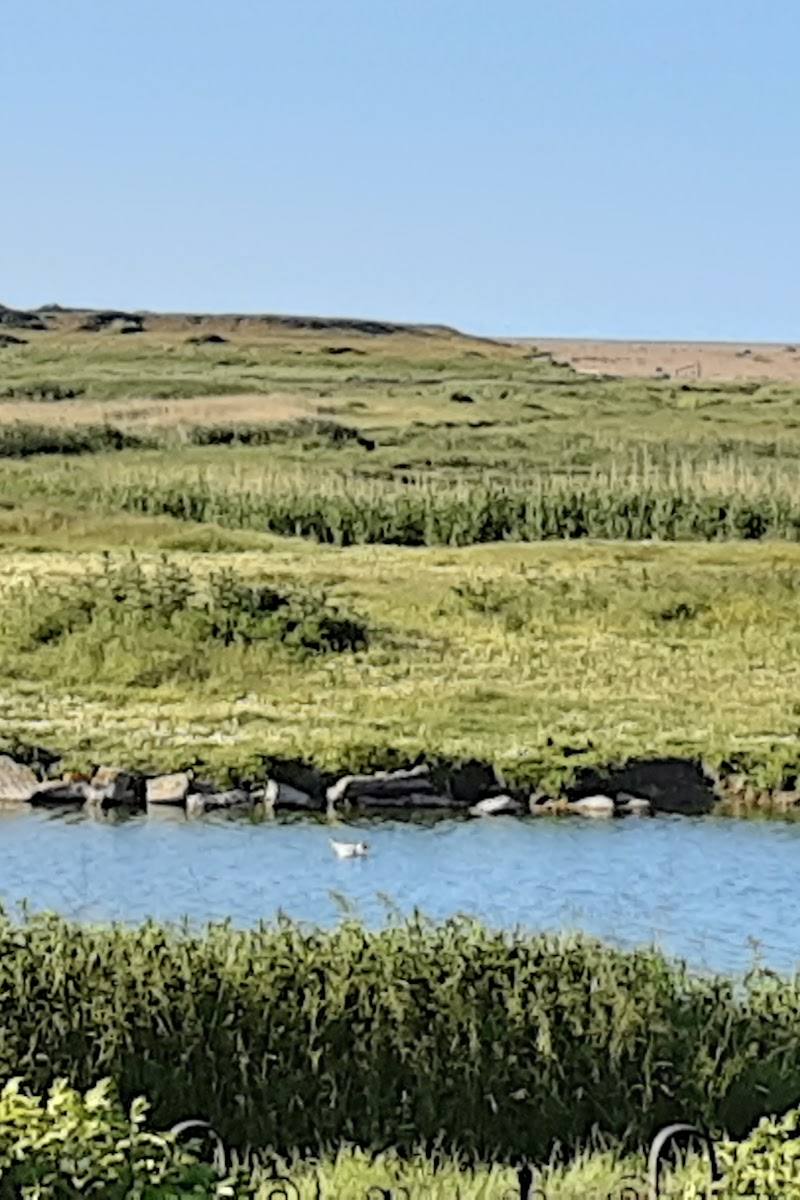 Salthouse Marshes — Place photograph