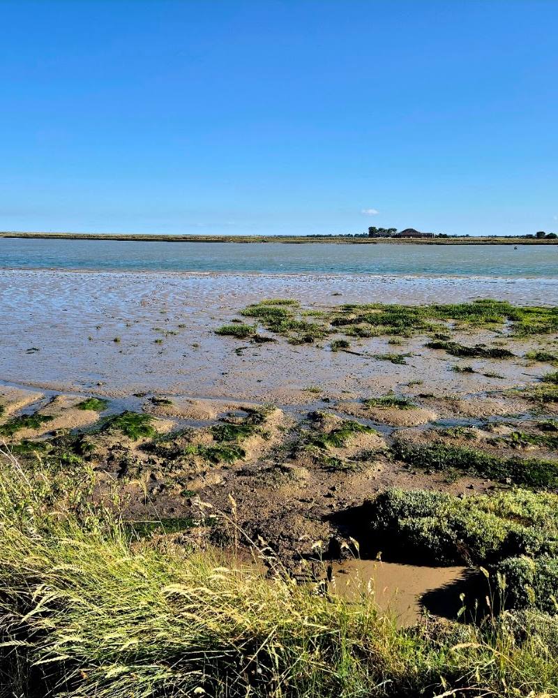 Saltmarsh Coast Trail — Source image