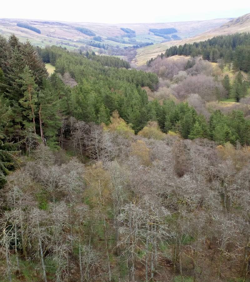 Scar House Reservoir