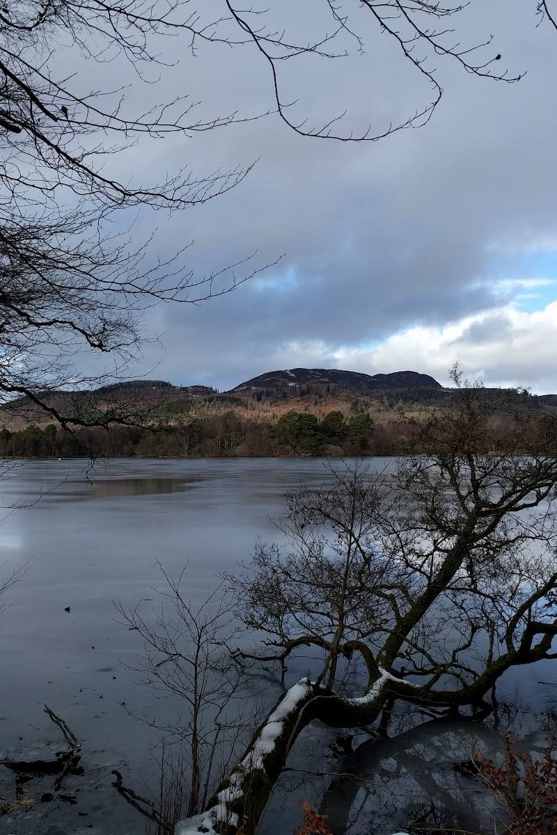 Scottish Wildlife Trust - Loch of the Lowes Visitor Centre & Wildlife Reserve