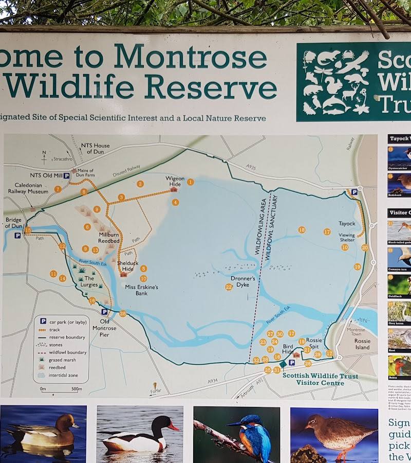 Scottish Wildlife Trust, Montrose Basin Visitor Centre and Wildlife Reserve