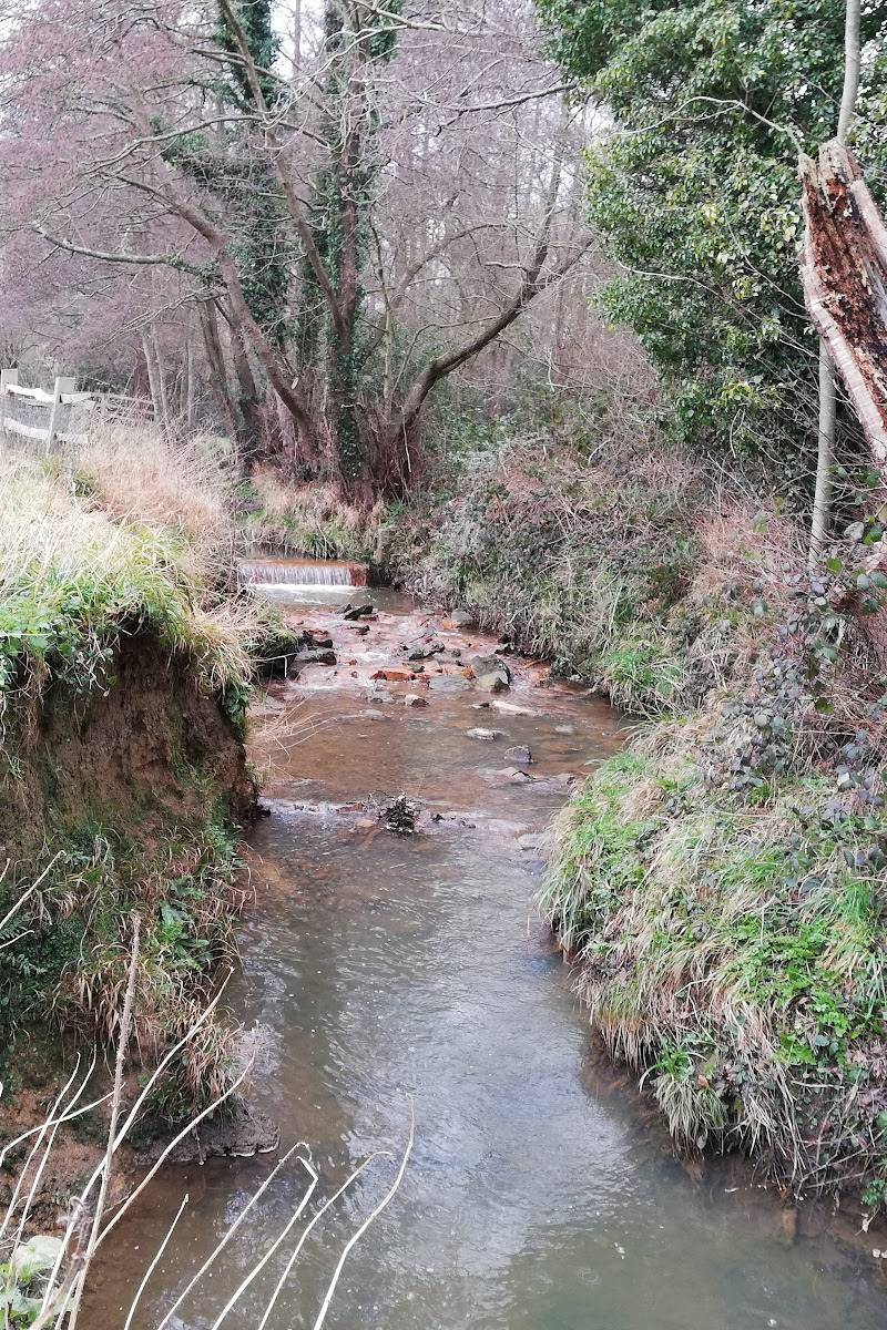 Scrase Valley Nature Reserve — Place photograph