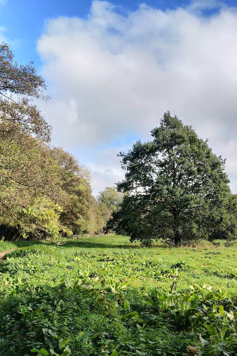 Scrase Valley Nature Reserve