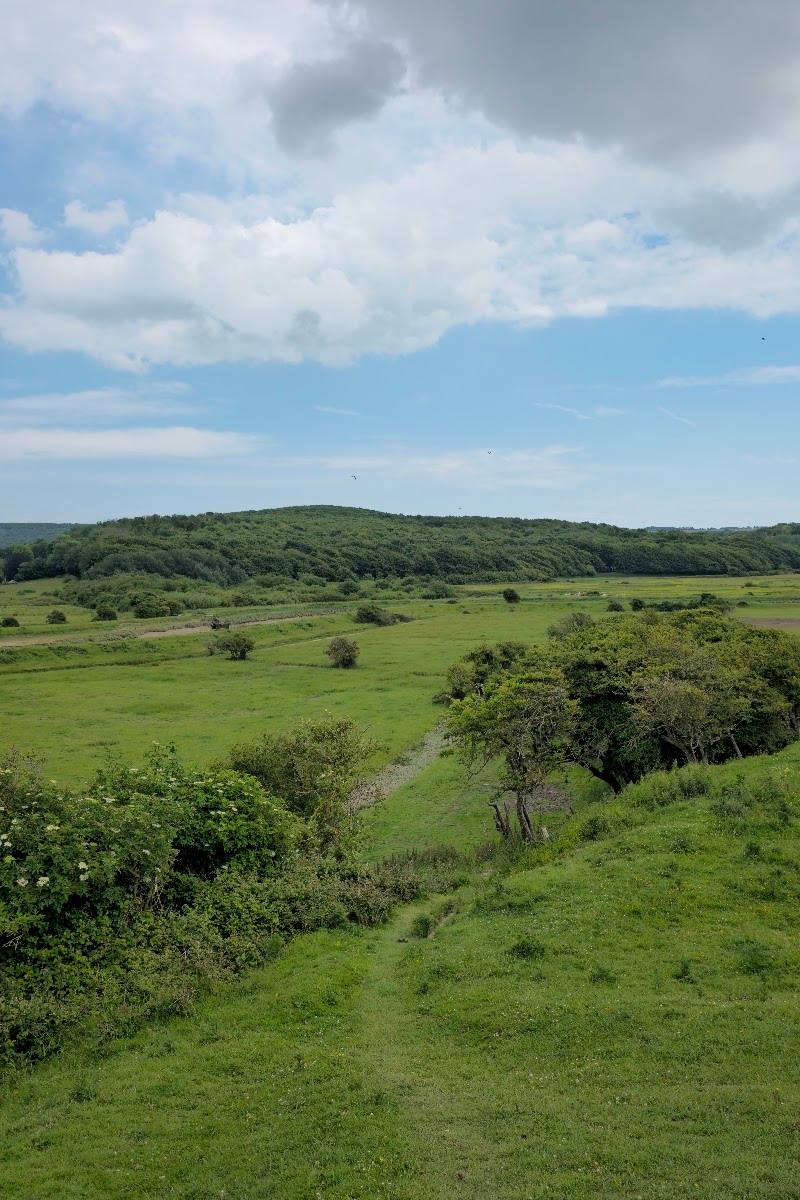 Seaford Head Nature Reserve, Sussex Wildlife Trust