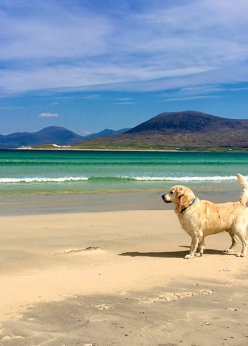 Seilebost beach