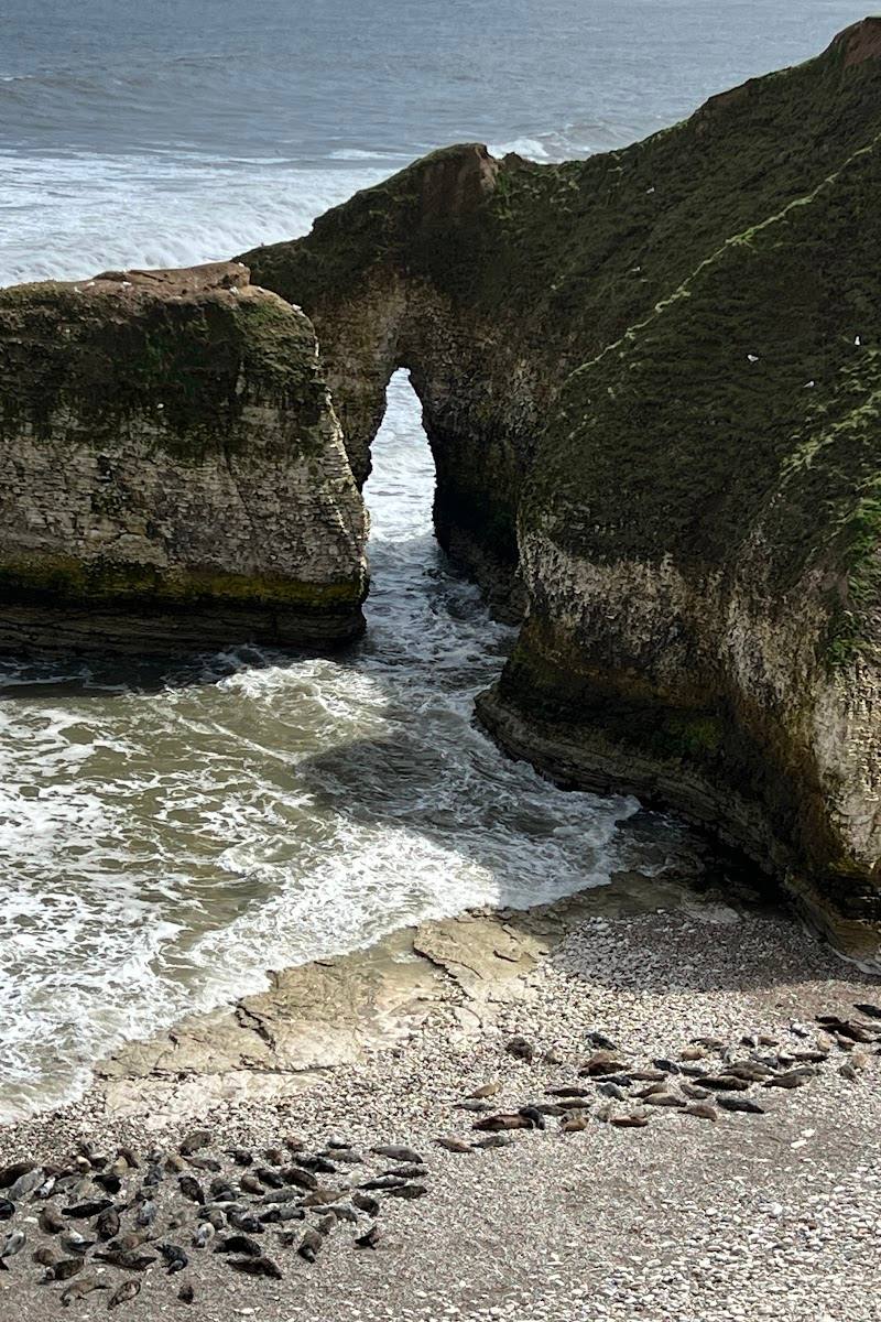 Selwicks Bay