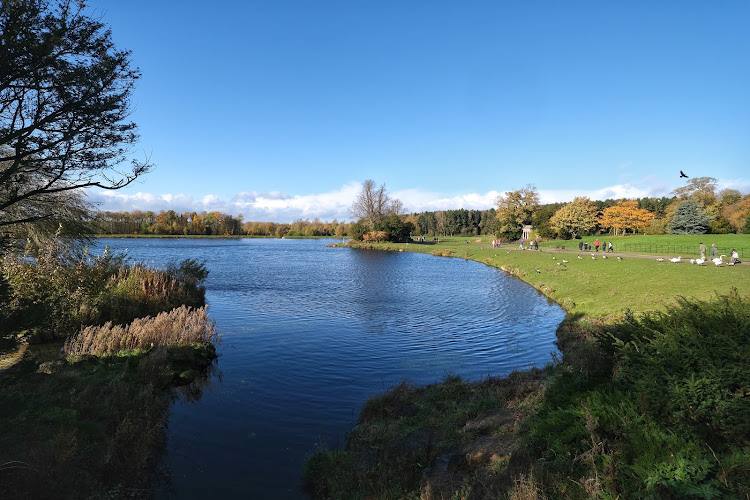 Serpentine Lake — Source image