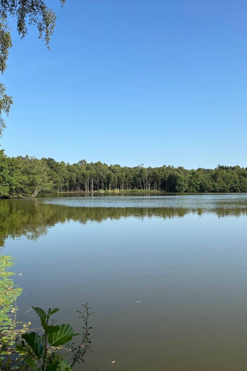 Shakerley Mere — Place photograph