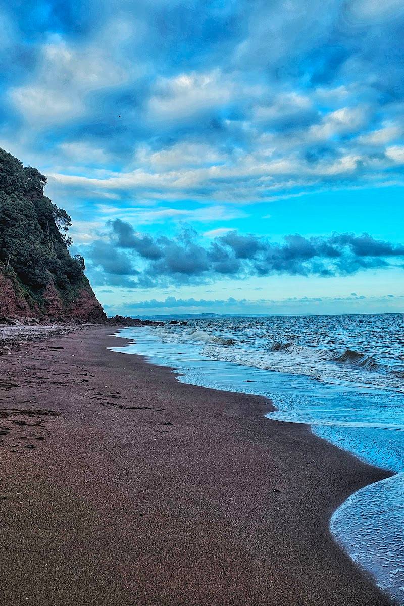 Shaldon Zoo & Wildlife Trust