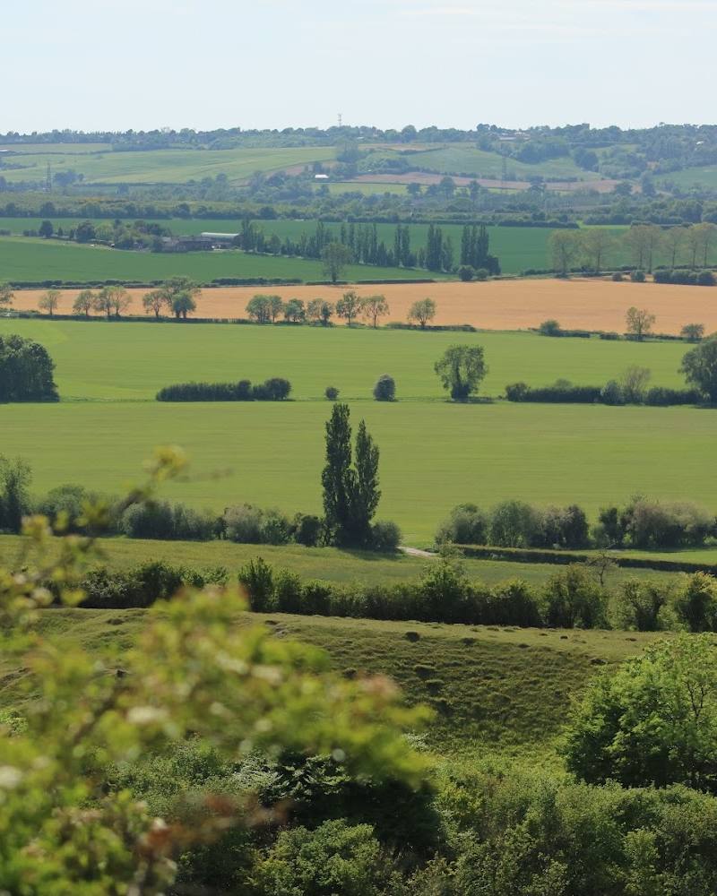 Sharpenhoe Clappers — Source image
