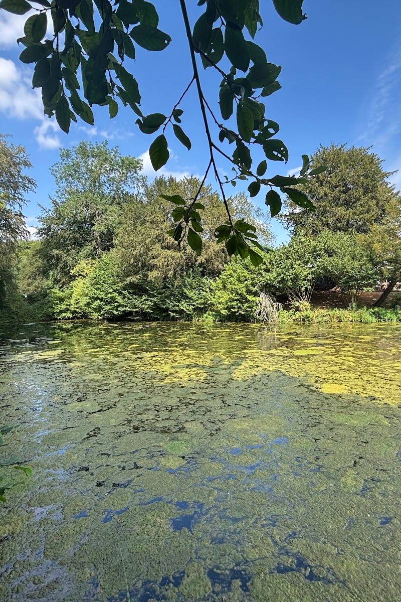 Silent Pool