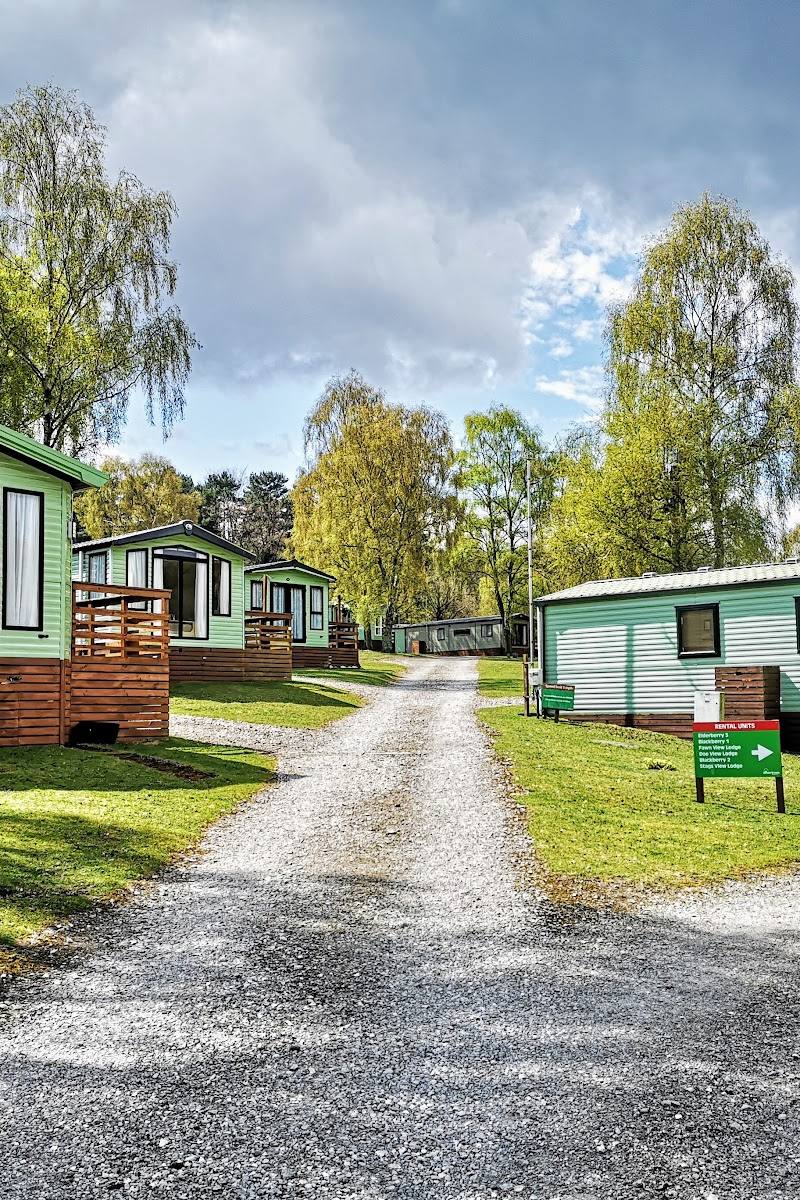 Silver Trees Holiday Park — Place photograph