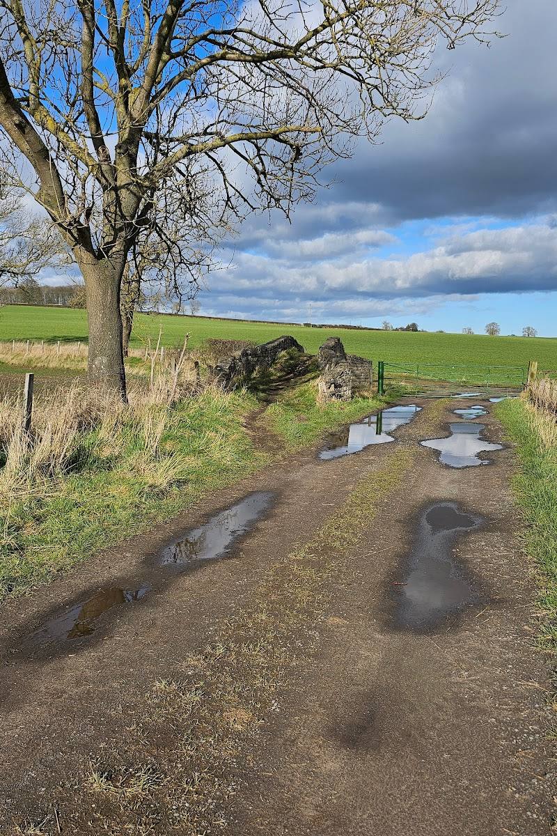 Skerningham Community Woodland — Place photograph