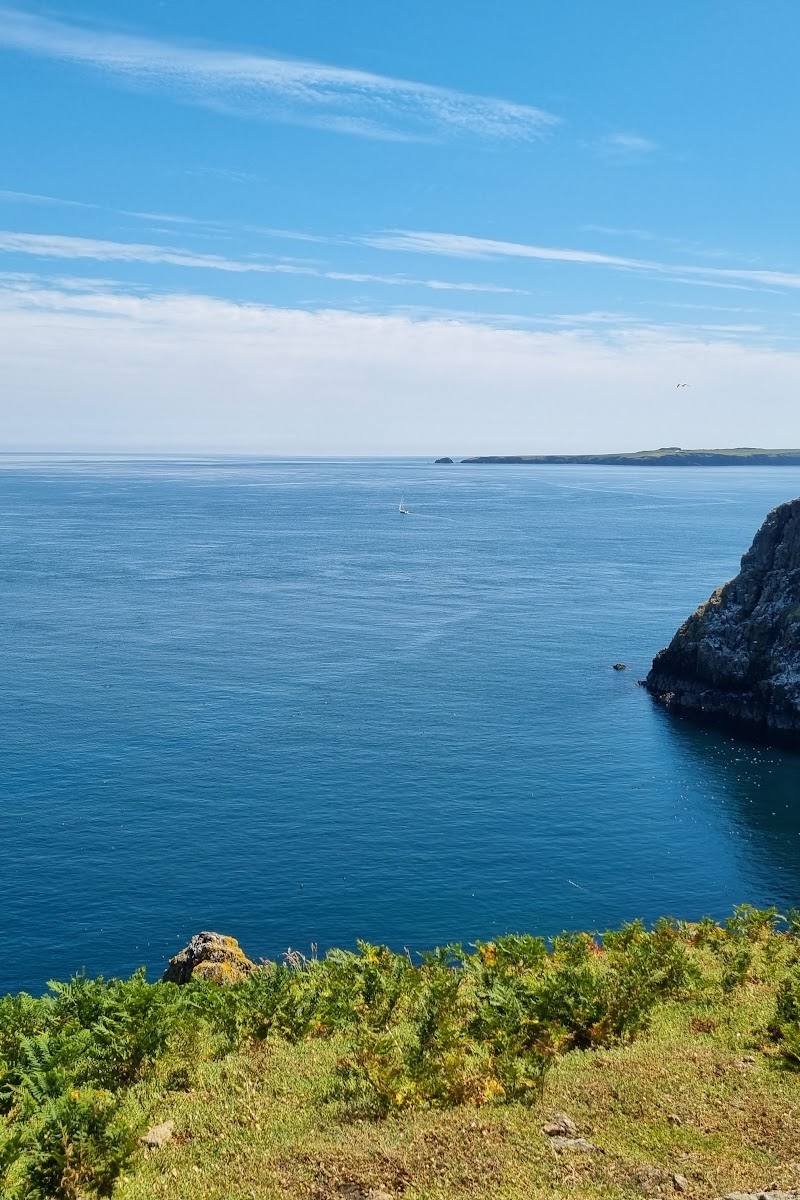 Skomer Island