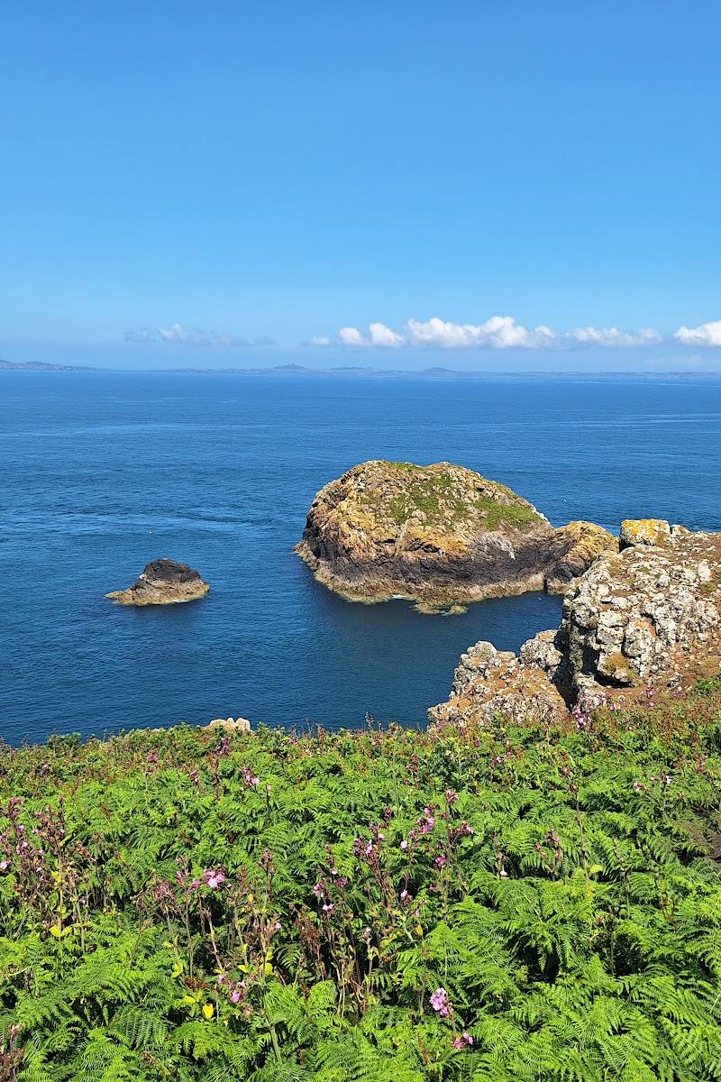 Skomer