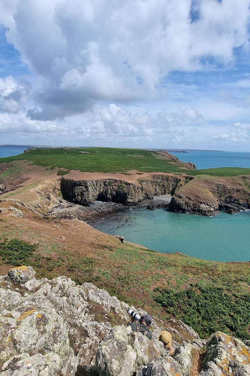 Skomer Island — Place photograph