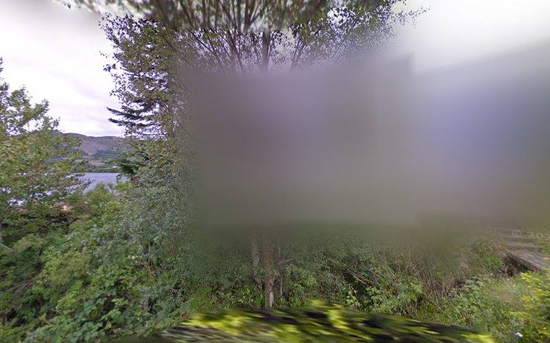 Slattadale Forest — Source image