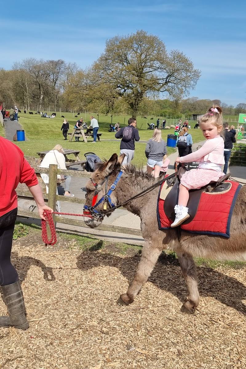 Smithills Open Farm — Place photograph (2 of 3)