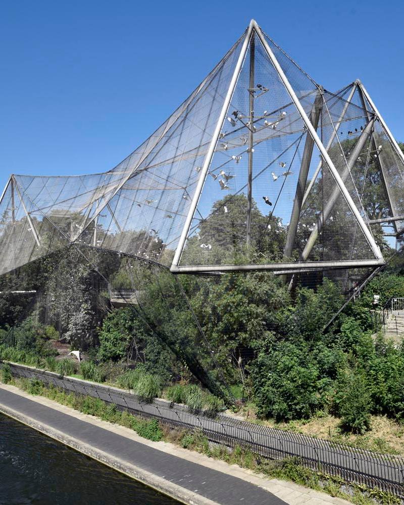 Snowdon Aviary (now Monkey Valley) — Source image