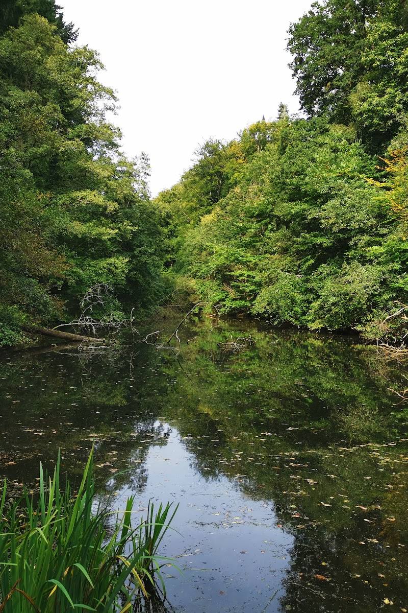 Soudley Ponds — Place photograph (2 of 3)