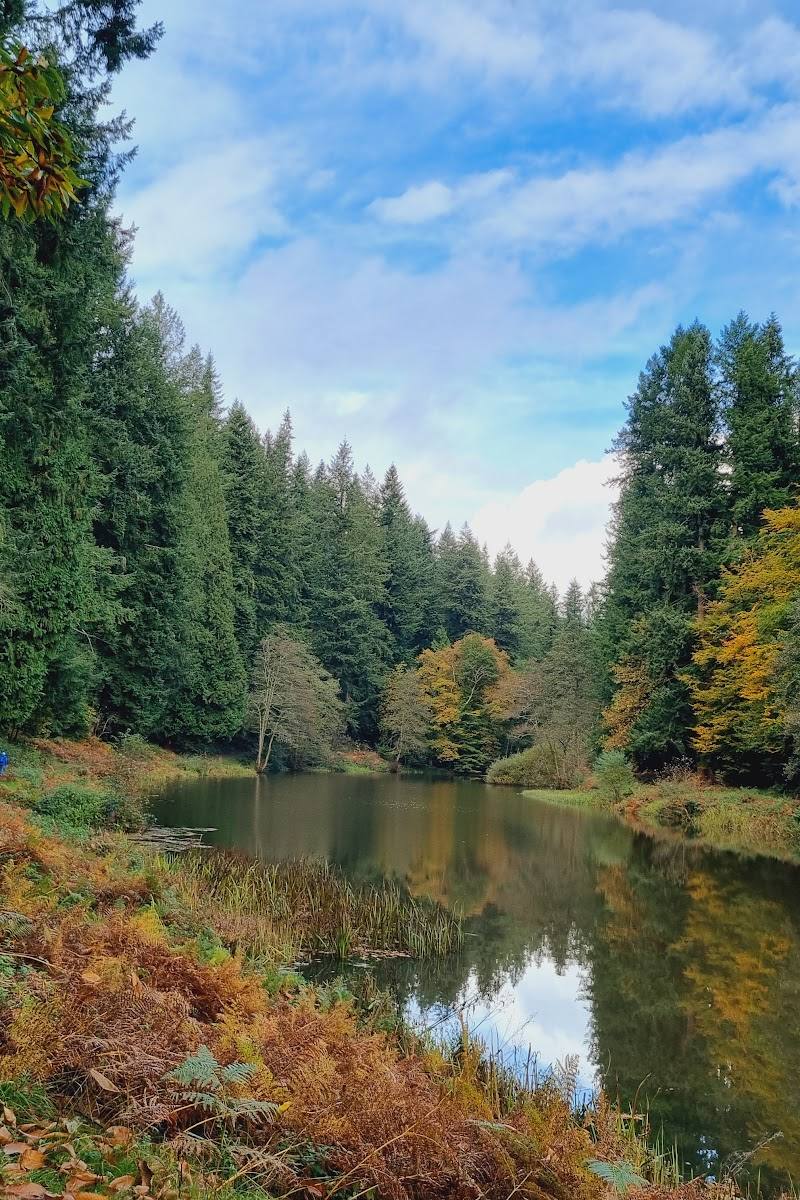 Soudley Ponds — Place photograph