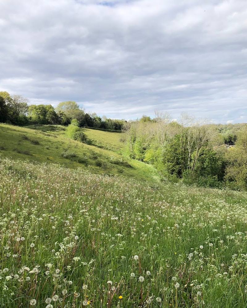 South London Downs National Nature Reserve — Source image