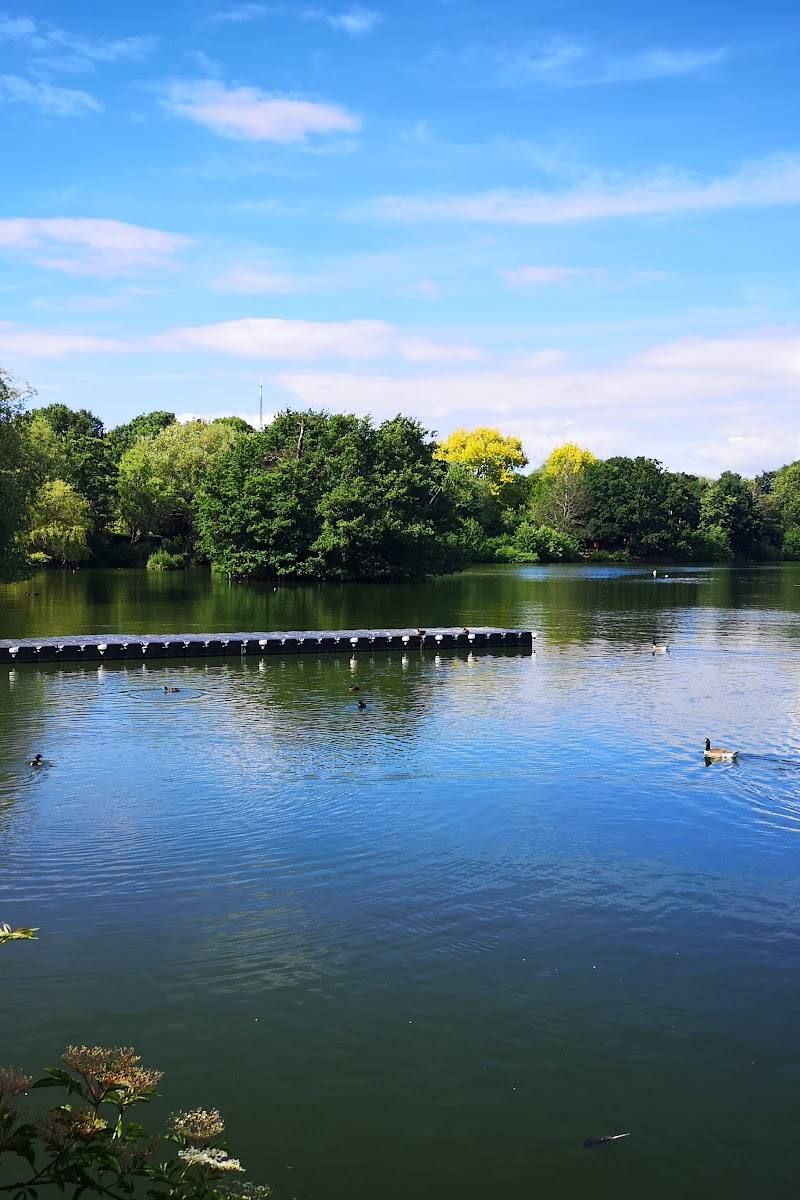 South Norwood Lake & Grounds — Place photograph