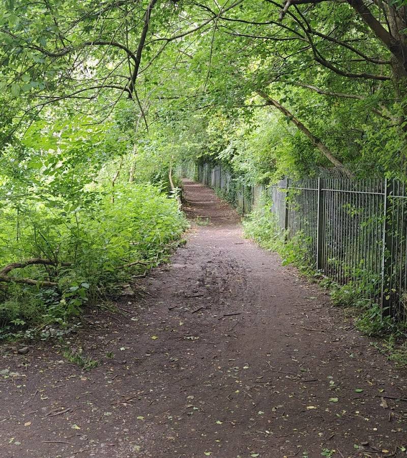 Southmead Round Barrow — Place photograph (3 of 3)