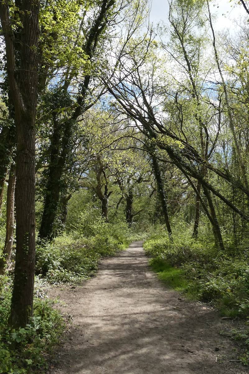 Sparrow Wood & Crofton Heath