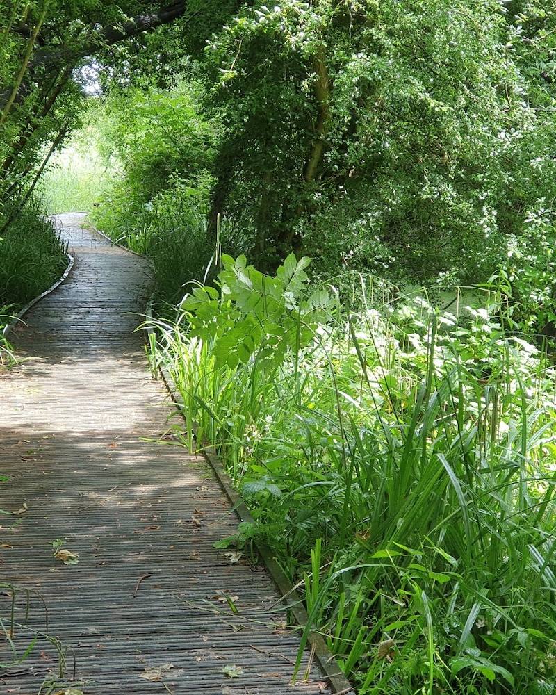 Spencer Road Wetlands Local Nature Reserve — Source image